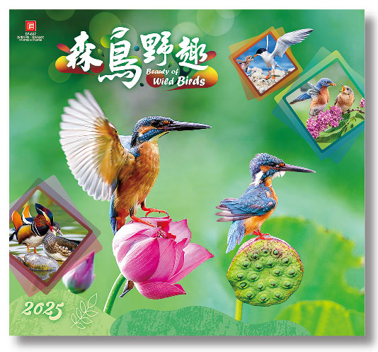 SL-607 森鳥野趣